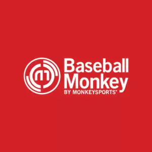 Baseball Monkey