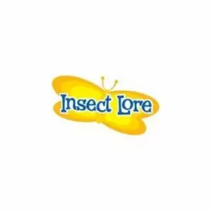 Insect Lore