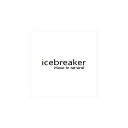 Icebreaker