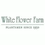 White Flower Farm